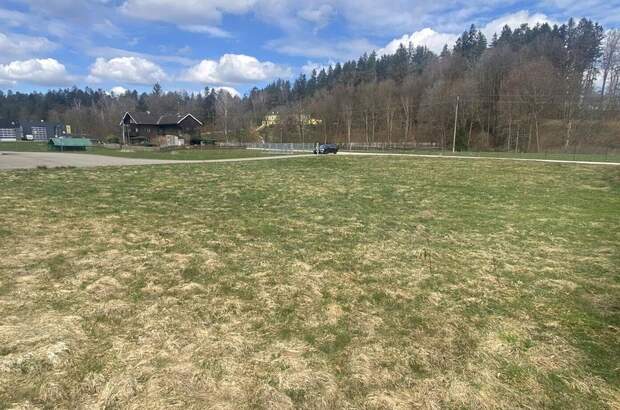 Haus kaufen in 4870 Pfaffing (Bild 1)