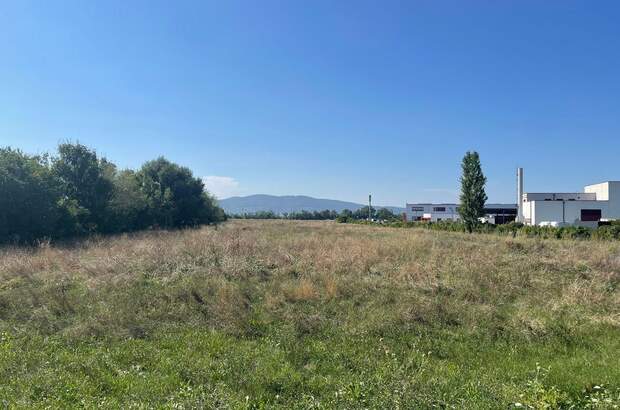 Gewerbeobjekt kaufen in 2521 Trumau (Bild 3)