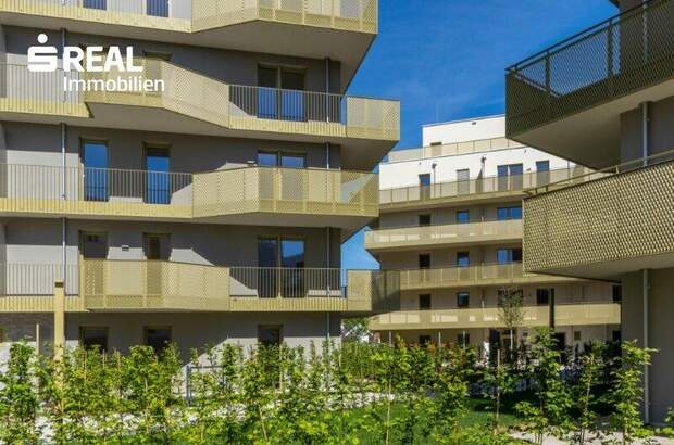 Terrassenwohnung kaufen in 1210 Wien (Bild 1)
