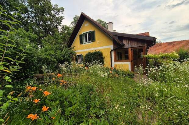 Haus kaufen in 8345 Kronnersdorf (Bild 5)