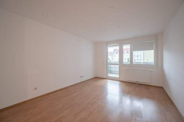 Terrassenwohnung mieten in 1080 Wien (Bild 1)