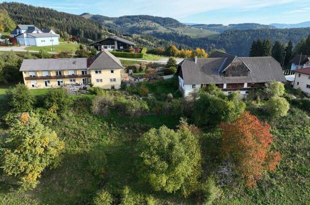 Gewerbeobjekt kaufen in 9112 Griffen (Bild 1)