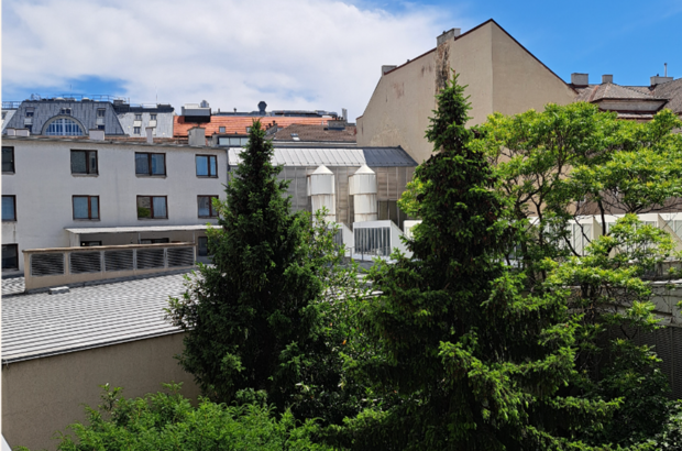 Mietwohnung (Bild 3)
