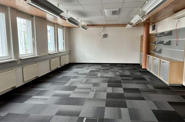 Gewerbeobjekt mieten in 8042 Graz (Bild 1)