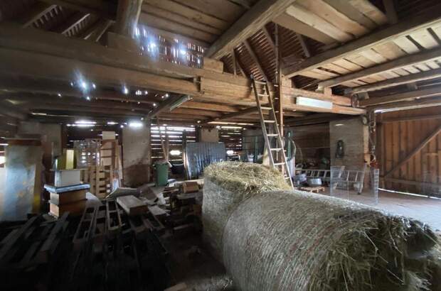 Gewerbeobjekt mieten in 8724 Spielberg (Bild 5)