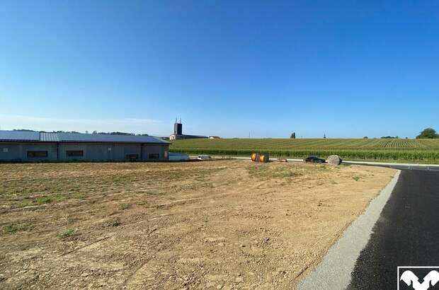 Gewerbeobjekt mieten in 4611 Buchkirchen (Bild 5)