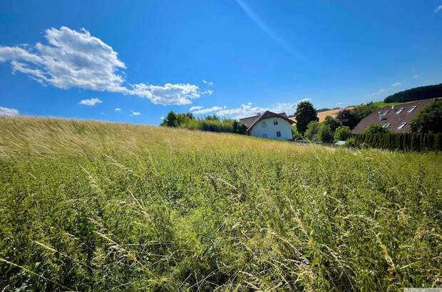 Grundstück kaufen in 4616 Weyerbach (Bild 1)