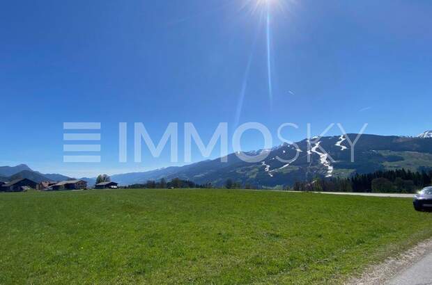 Einfamilienhaus kaufen in 8972 Ramsau (Bild 4)