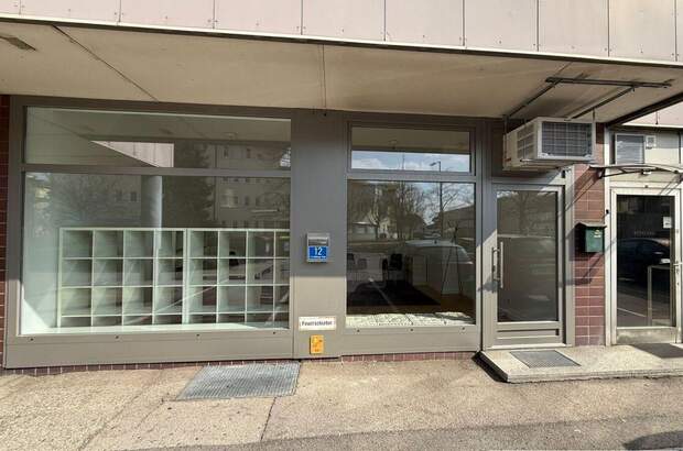 Gewerbeobjekt mieten in 4600 Thalheim (Bild 5)