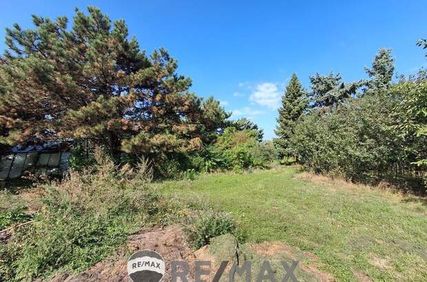 Grundstück mieten in 1220 Wien (Bild 2)