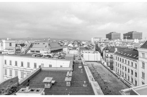 Terrassenwohnung kaufen in 1090 Wien (Bild 1)