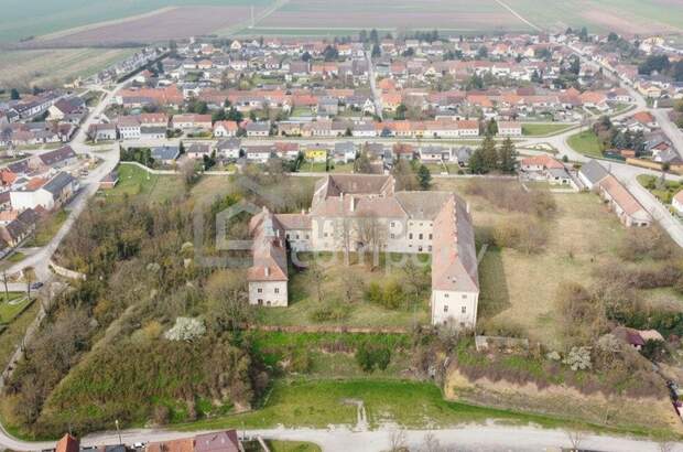 Immobilie kaufen in 2274 Rabensburg (Bild 1)