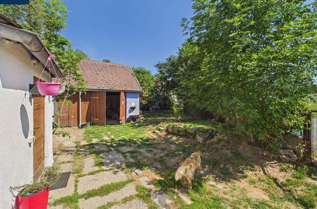 Haus mit Garten kaufen in 3862 Groß (Bild 4)