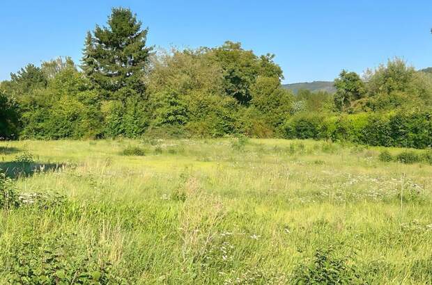 Grundstück kaufen in 3424 Wolfpassing (Bild 5)