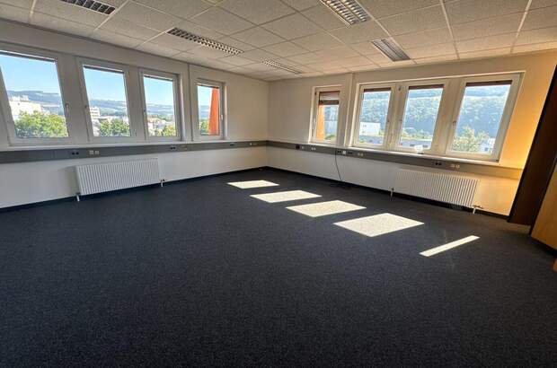 Gewerbeobjekt mieten in 4020 Linz (Bild 3)