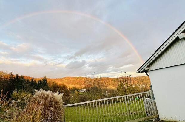 Grundstück kaufen in 4221 Steyregg (Bild 1)