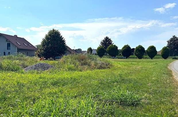 Grundstück kaufen in 8403 Bachsdorf (Bild 4)