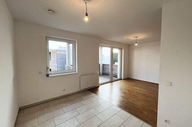 Terrassenwohnung mieten in 3140 Pottenbrunn (Bild 5)