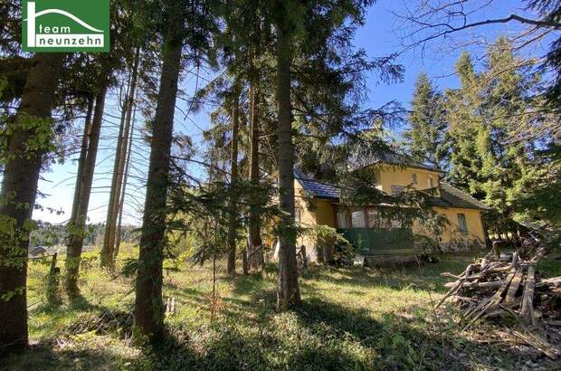 Einfamilienhaus kaufen in 3972 Bad Großpertholz (Bild 3)