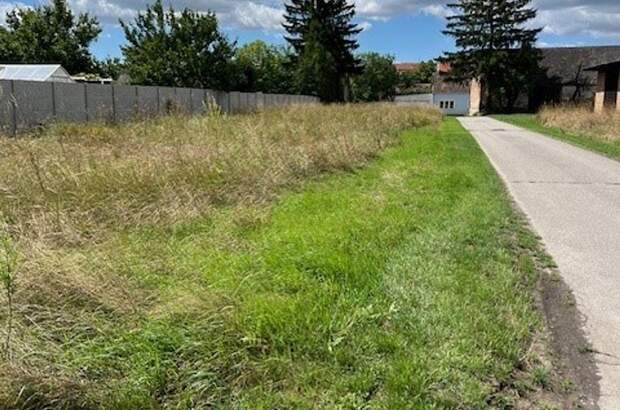 Grundstück kaufen in 2263 Dürnkrut (Bild 1)