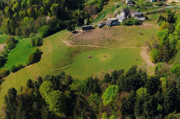 Haus kaufen in 8462 Gamlitz (Bild 3)