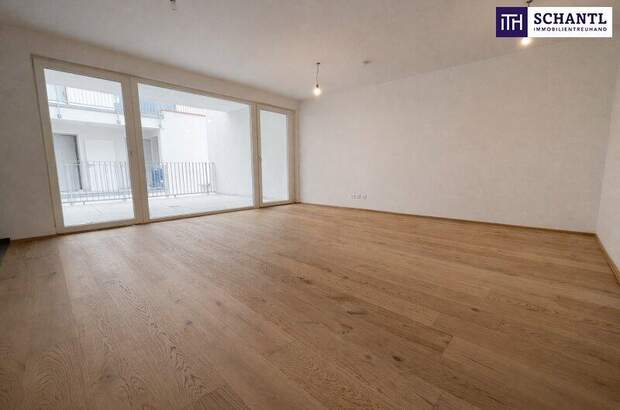 Terrassenwohnung kaufen in 2514 Traiskirchen (Bild 2)