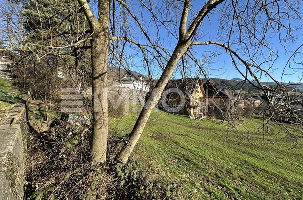 Grundstück kaufen in 6833 Klaus (Bild 5)