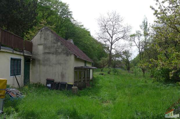 Grundstück kaufen in 3580 Mödring (Bild 5)