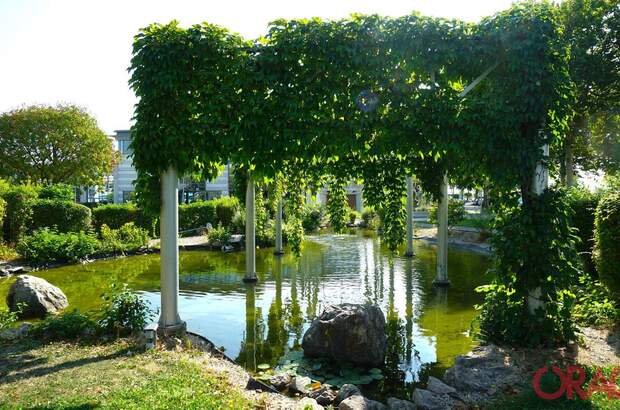 Gewerbeobjekt mieten in 2320 Schwechat (Bild 3)