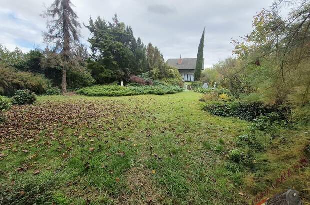 Grundstück kaufen in 2232 Deutsch (Bild 5)