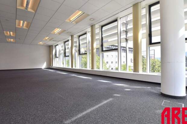 Gewerbeobjekt mieten in 4020 Linz (Bild 4)