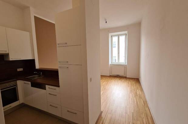 Altbauwohnung mieten in 1120 Wien (Bild 1)