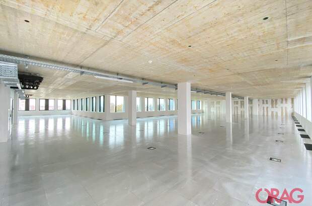 Gewerbeobjekt mieten in 4020 Linz (Bild 4)