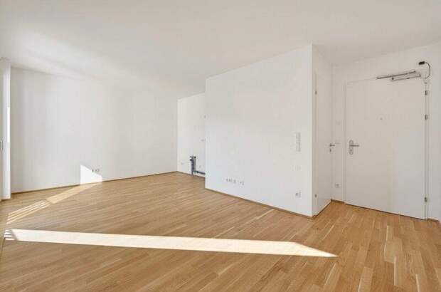 Terrassenwohnung kaufen in 1210 Wien (Bild 3)
