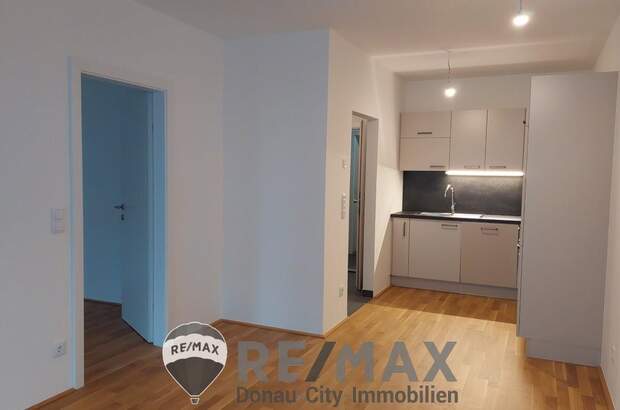 Terrassenwohnung mieten in 2201 Gerasdorf (Bild 3)