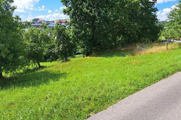 Grundstück kaufen in 4111 Walding (Bild 2)