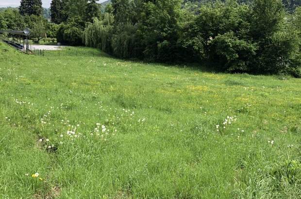 Grundstück kaufen in 8051 Graz (Bild 3)