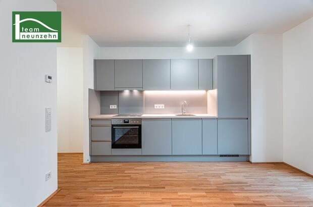 Terrassenwohnung mieten in 1030 Wien (Bild 2)