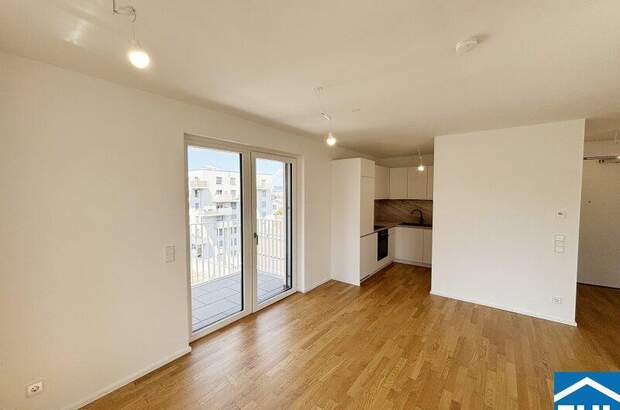 Terrassenwohnung mieten in 1030 Wien (Bild 2)