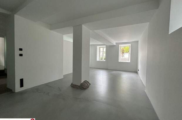 Gewerbeobjekt mieten in 5023 Salzburg (Bild 4)