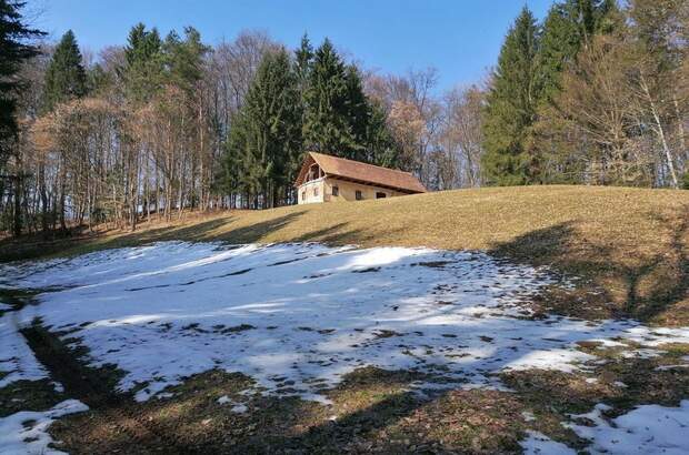 Gewerbeobjekt kaufen in 8461 Ehrenhausen (Bild 5)
