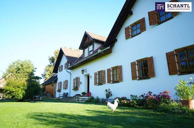 Haus kaufen in 8282 Bad Loipersdorf (Bild 3)