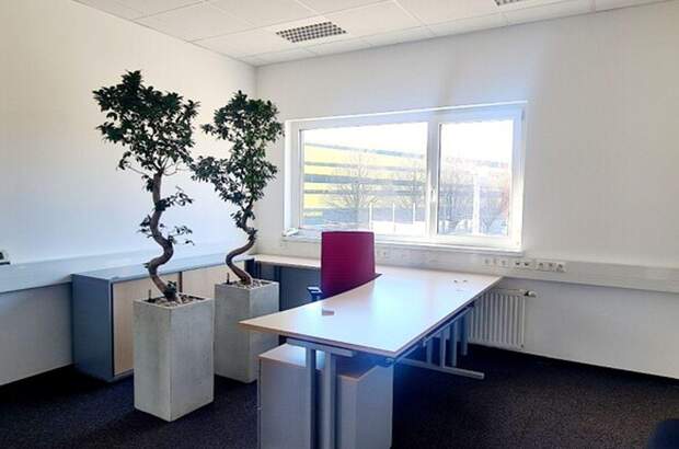 Gewerbeobjekt mieten in 5020 Salzburg (Bild 4)