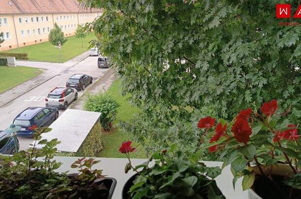 Terrassenwohnung mieten in 4400 Steyr (Bild 3)