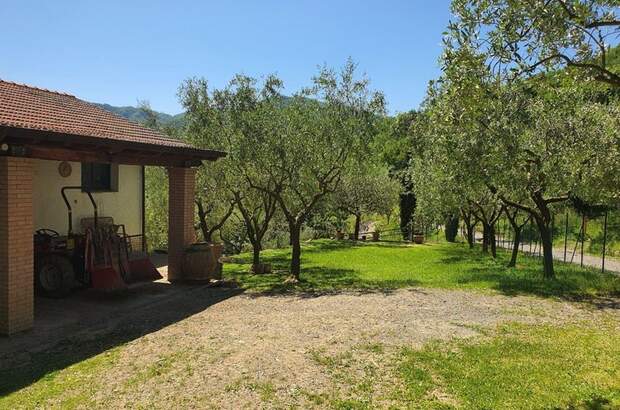 Haus kaufen in 54016 Ripola (Bild 2)