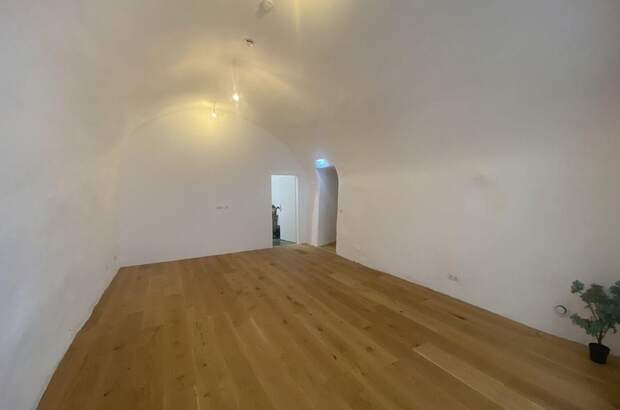 Gewerbeobjekt mieten in 5400 Hallein (Bild 4)