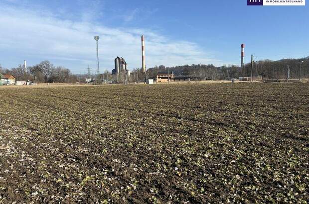 Grundstück kaufen in 8402 Werndorf (Bild 3)