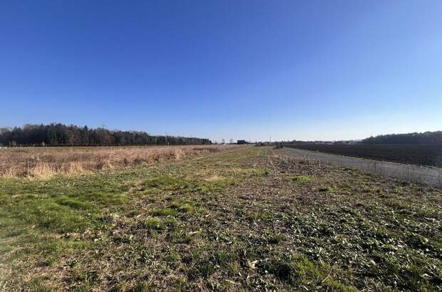 Gewerbeobjekt kaufen in 8423 Sankt Veit (Bild 2)