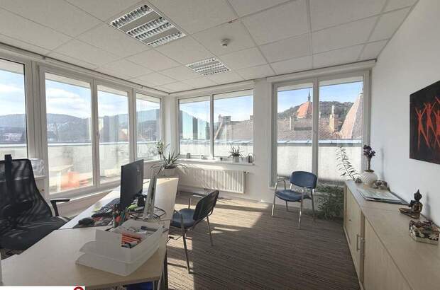 Gewerbeobjekt mieten in 2340 Mödling (Bild 2)