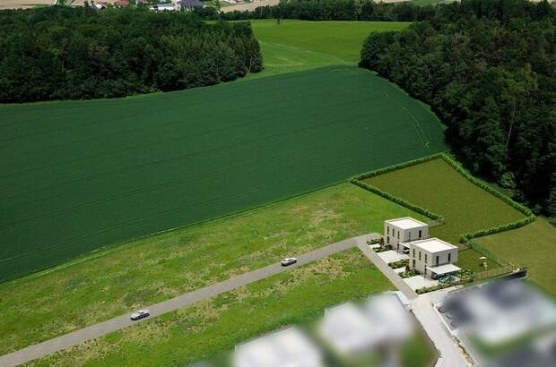Haus kaufen in 4223 Ruhstetten (Bild 5)